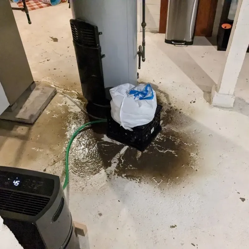 Sewage Backup Cleanup Service in Bolivar, MO